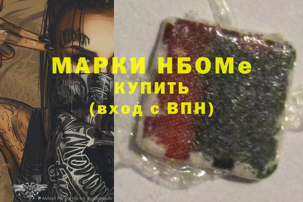 хмурый Абаза