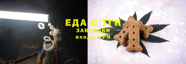 хмурый Абаза