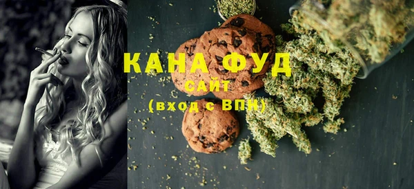 хмурый Абаза