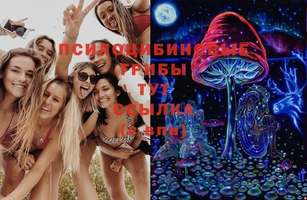 хмурый Абаза