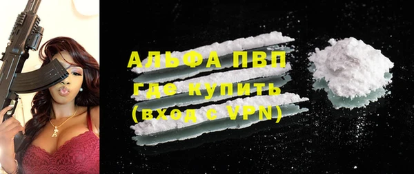 хмурый Абаза
