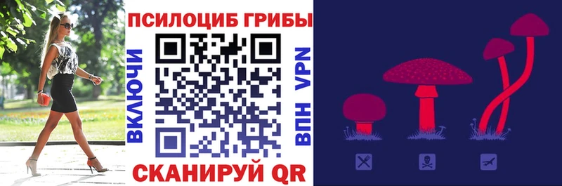 Псилоцибиновые грибы Psilocybine cubensis  Юрга 